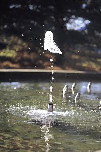 Быстродействующий электромагнитный клапан Vario - Switch 015а/24V